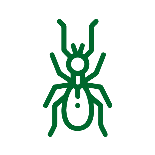 icon-cimici