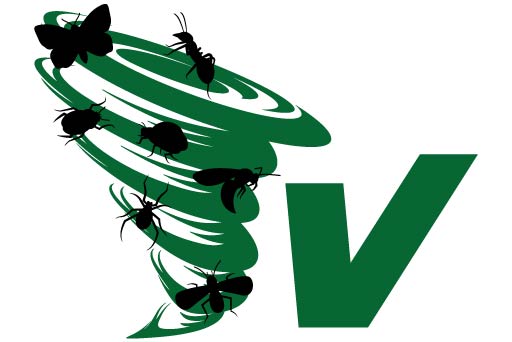 vortex-disinfestazioni vortex-disinfestazioni